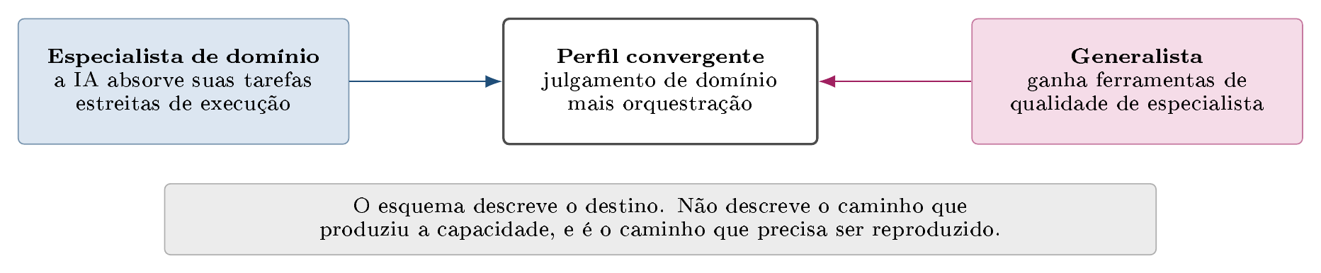 A convergência de perfis, como a literatura profissional a descreve, e o que ela deixa de fora.